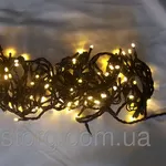 ГИРЛЯНДА-НИТЬ 10М ФЛЕШ