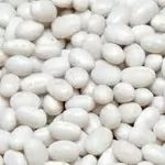 Закупка квасолі. Приймаємо різні сорти на переробку