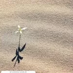 Пісок кварцевий сухий обезпилений в біг-бегах від 1т