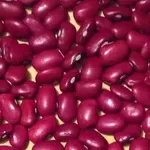 Великий вибір сортової квасолі.