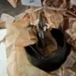 Прилад   Віка    ОГЦ-1