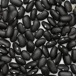 Сортова квасоля. Доставка по Україні. Різні сорти.