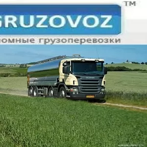 Услуги грузового  автотранспорта:надежно и экономно по Украине и СНГ