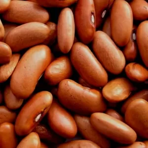 Продаж гуртом. Квасоля сортова,  сертифікована
