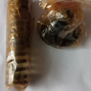 Клапан нагнітальний 9006.3906061 (з пружиною та упором) ЯМЗ-236238