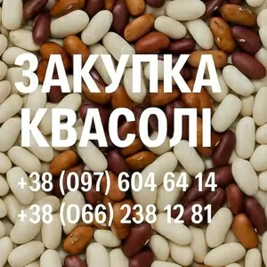 Купуємо квасолю білу та кольорову. Самовивіз