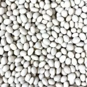  Насіння квасолі Червона Шапочка,  Пінто,  Неві Бінс