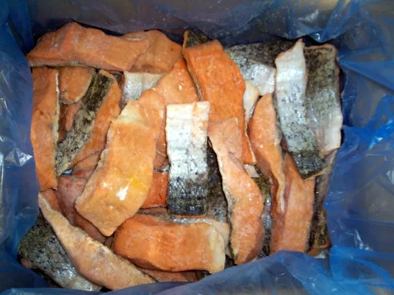 свежемороженные отходы лосося: хребты,  обрезь,  головы,  животы,  ломтики 4