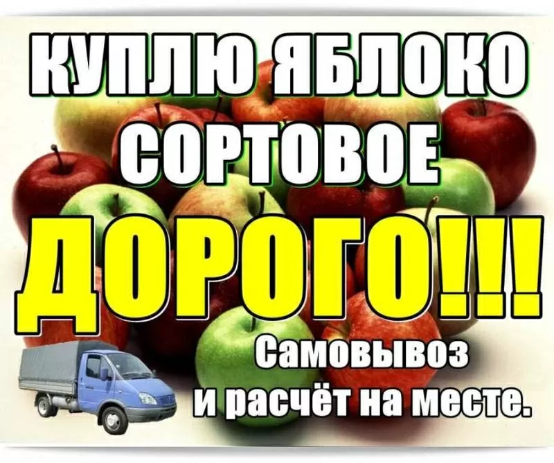 Куплю яблоко сортовое,  дорoго.