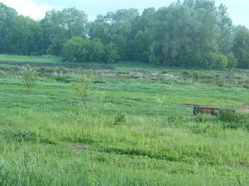 Земля с озером для жизни,  отдыха и здоровья.