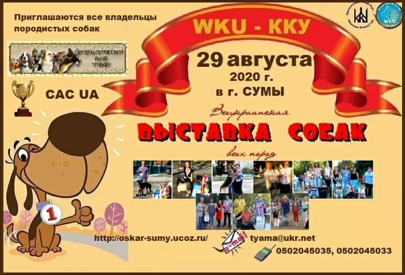 Всеукраинская выставка собак в Сумах 2020