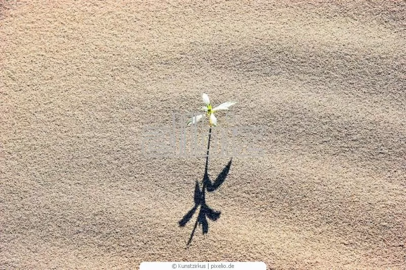 Пісок кварцевий сухий обезпилений в біг-бегах від 1т