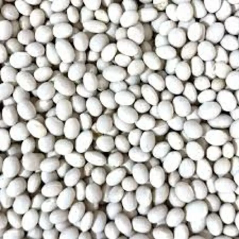  Насіння квасолі Червона Шапочка,  Пінто,  Неві Бінс